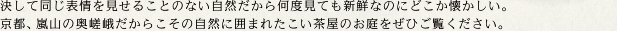 決して同じ表情を見せることのない自然だから何度見ても新鮮なのにどこか懐かしい。京都、嵐山の奥嵯峨だからこその自然に囲まれたこい茶屋のお庭をぜひご覧ください。
